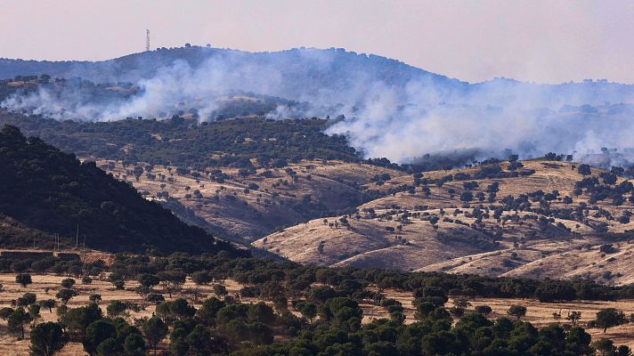 Telediario Fin de Semana - La humedad, clave en los incendios