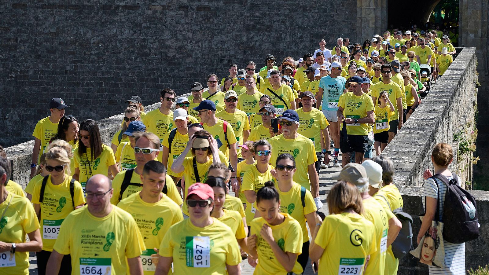 3.000 personas en la XII Marcha contra el cáncer en Pamplona - Telenavarra | Ver