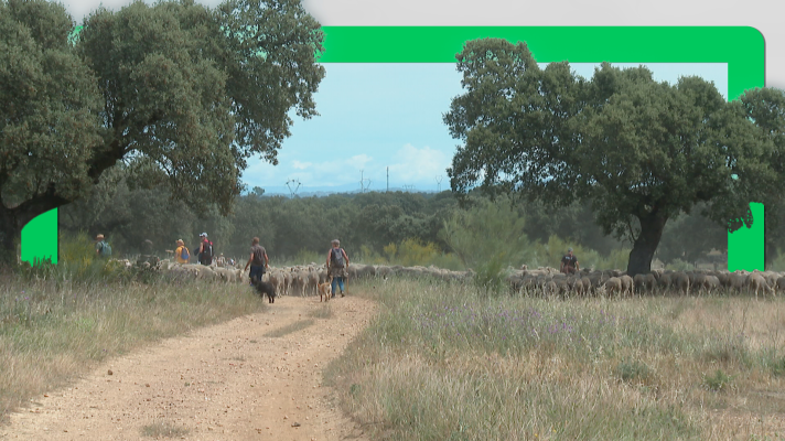 Noticias de Extremadura - Documental 'Generación trashumante'