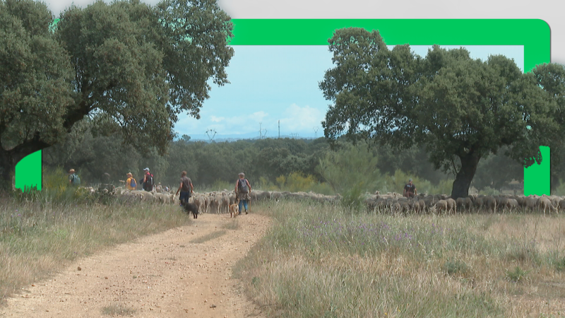 Documental 'Generación trashumante' - Noticias de Extremadura | Ver