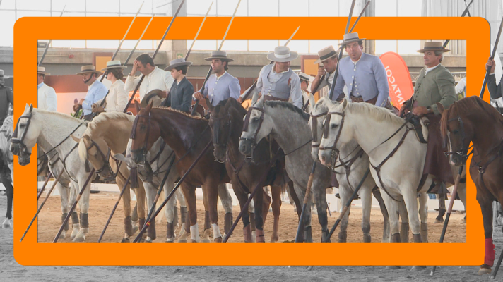 Noticias de Extremadura - ECUEXTRE, la feria del caballo y del toro