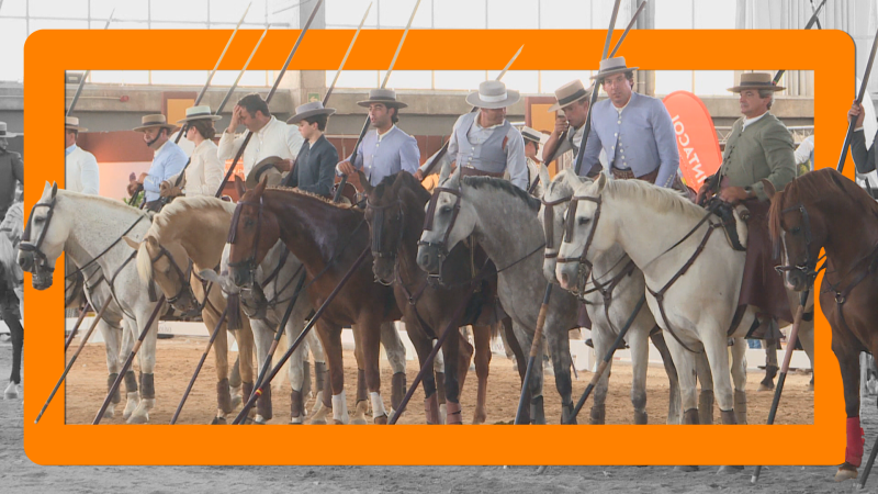 ECUEXTRE, la feria del caballo y del toro - Ver ahora