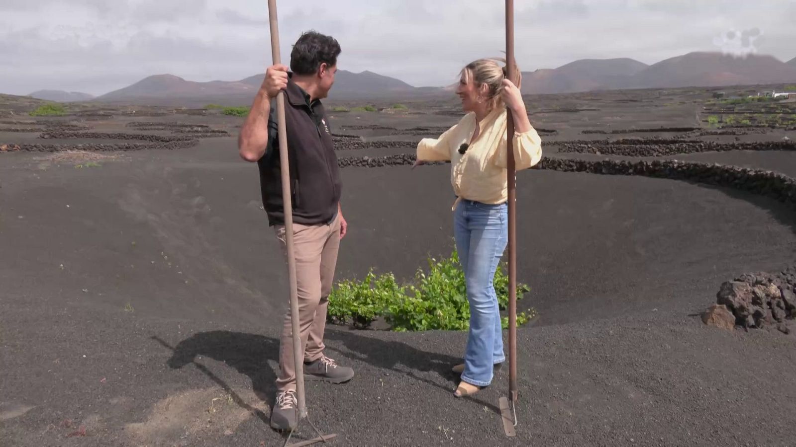Así se planta la malvasía volcánica a los pies del Timanfaya - Aquí la Tierra | Ver