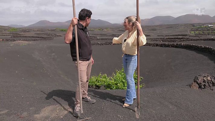 Aquí la Tierra - Así se planta la malvasía volcánica a los pies del Timanfaya