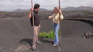 Vida entre cenizas: el secreto de los vi�edos bicentenarios de Lanzarote