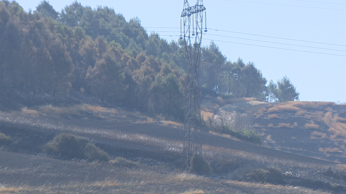 Telenavarra - Las altas temperaturas originan los primeros incendios en Navarra
