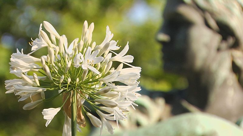 Galicia despide unha primavera moi cálida e seca - Telexornal - Galicia | Vexa