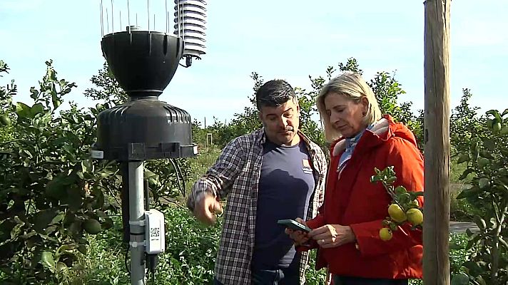 Aquí hay trabajo - Una emprendedora agrotec