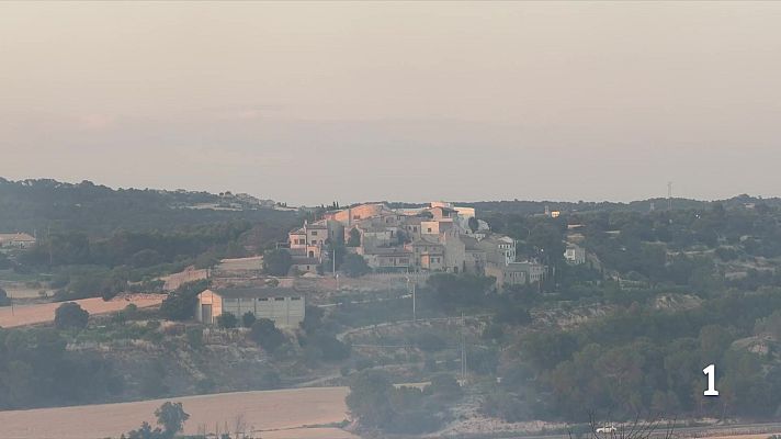 L'Informatiu - Incendi estabilitzat a l’Albi amb l’AVE encara tallat