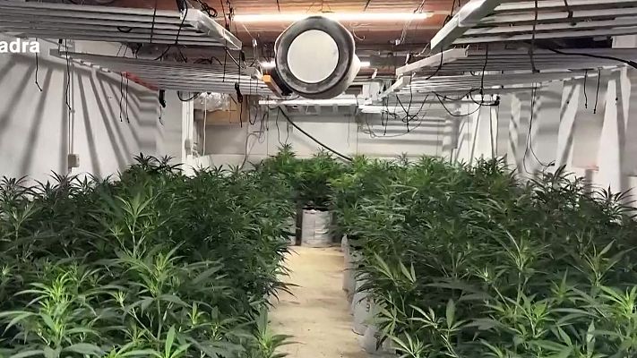L'Informatiu - Desarticulada una xarxa de marihuana i blanqueig amb epicentre a Girona