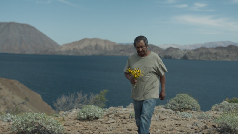 RTVE.es estrena el tráiler de 'El guardián', de Nuria Ibáñez Castañeda - Cultura en Rtve.es | Ver