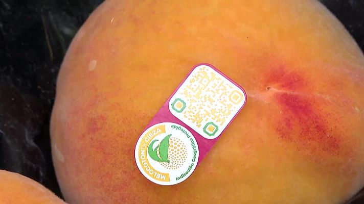 Noticias Murcia - La IGP Melocotón de Cieza crece con más variedades y hectáreas de producción