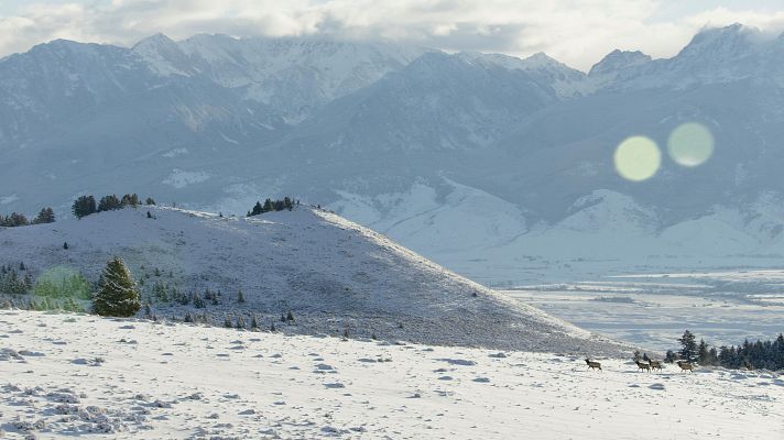 Diarios de Yellowstone - Episodio 3: Invierno