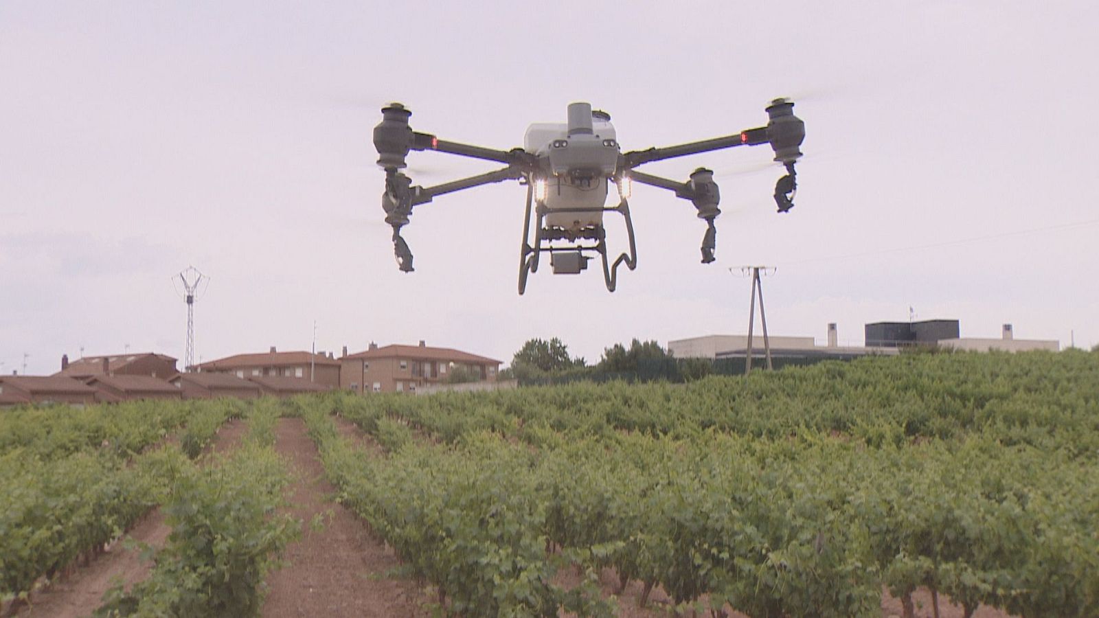 Drones para el campo, ventajas de la tecnología de precisión - Informativo Telerioja | Ver