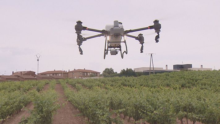 Informativo Telerioja - Drones para el campo, ventajas de la tecnología de precisión