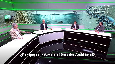 ¿Por qué se incumple el Derecho Ambiental?