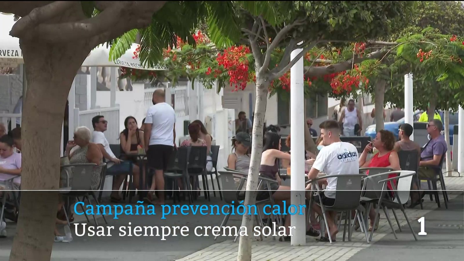 Telecanarias - 22/06/2026 | Ver