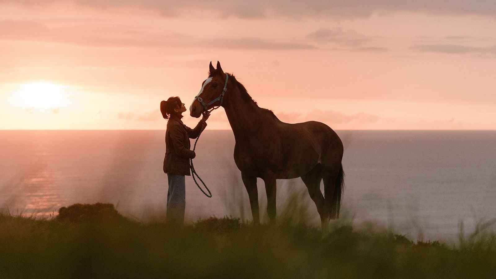 El aniversario | Ver películas gratis en RTVE Play