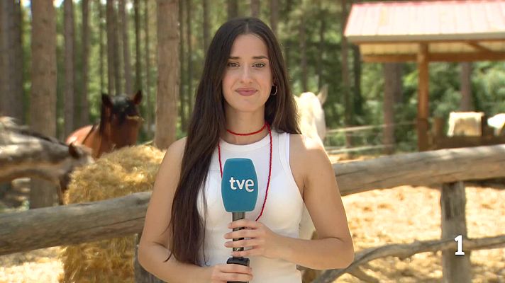 Telenavarra - Aumenta la plaga en Navarra de la polilla del boj