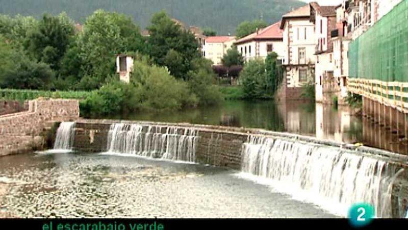 El escarabajo verde - Ríos sin barreras - Ver ahora