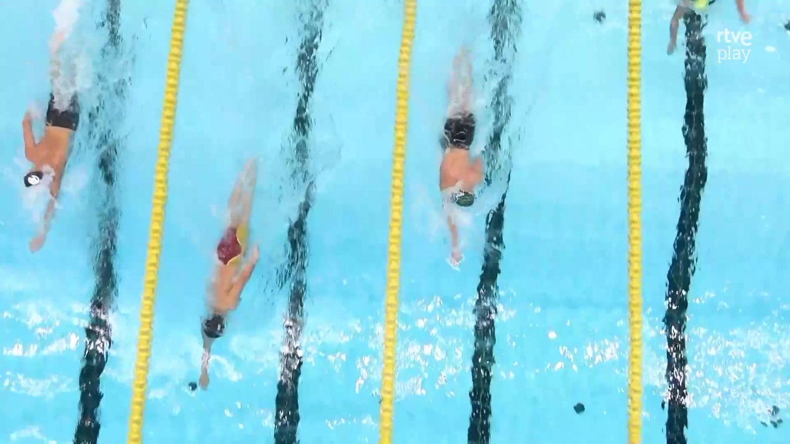 Natación - Campeonato de España Absoluto Open Trials Sesión Vespertina - 26/06/26 - Natación | Ver