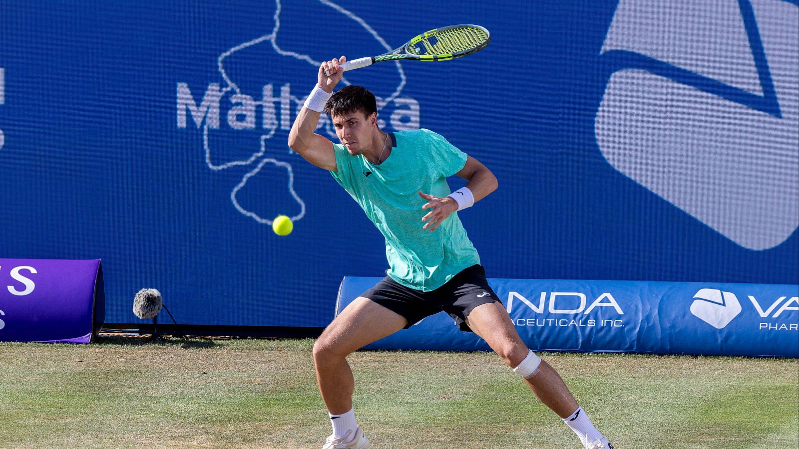 Tenis - ATP Mallorca. 2ª Semifinal: F. Marozsán - A. Davidovich Fokina - Tenis | Ver