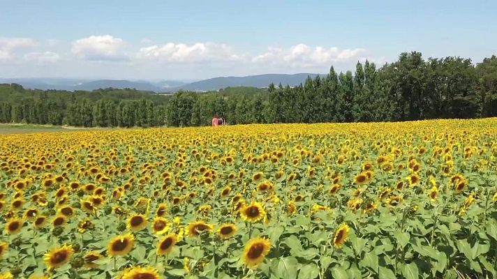 Agrosfera - Agrosfera - 27/06/26