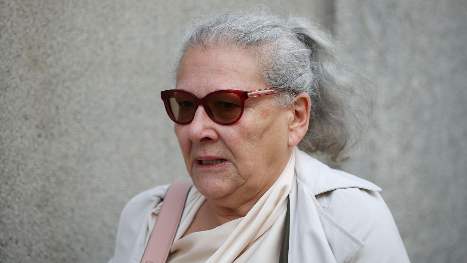 La empresaria Carmen Pano, que dijo haber llevado dinero a Ferraz, declara por el caso Leire - Diario 24 | Ver