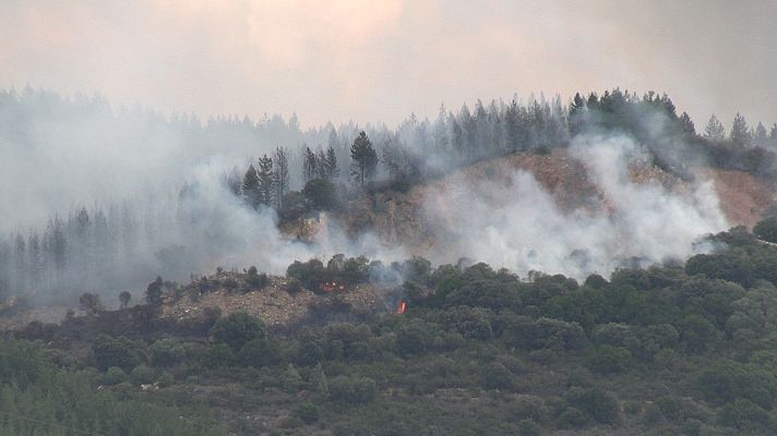  - Los fuegos han quemado en la zona del Bierzo, unas 1.600 hectáreas