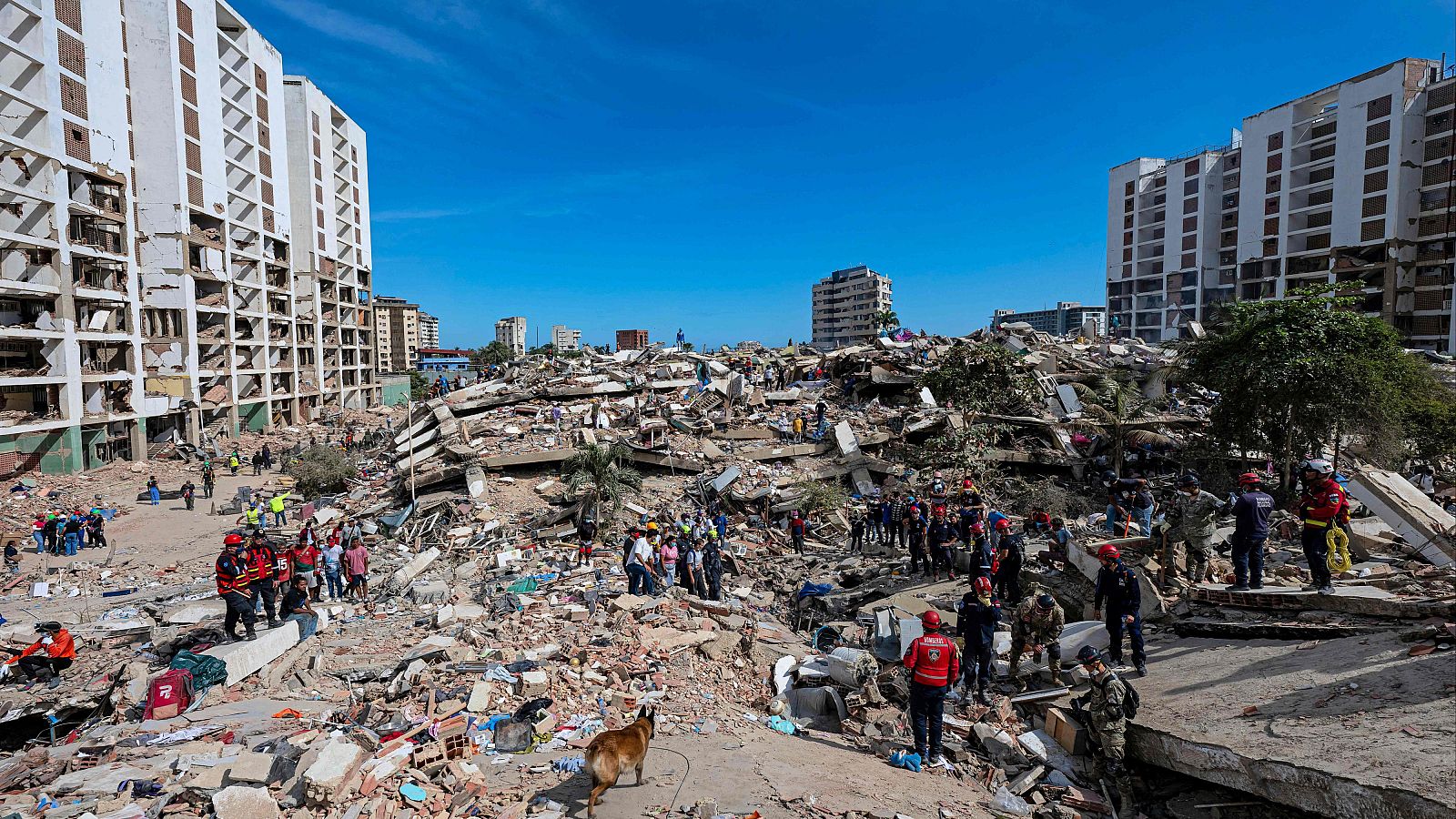 Continúan a contrarreloj los rescates entre los escombros en Venezuela - El mundo en 24 horas | Ver