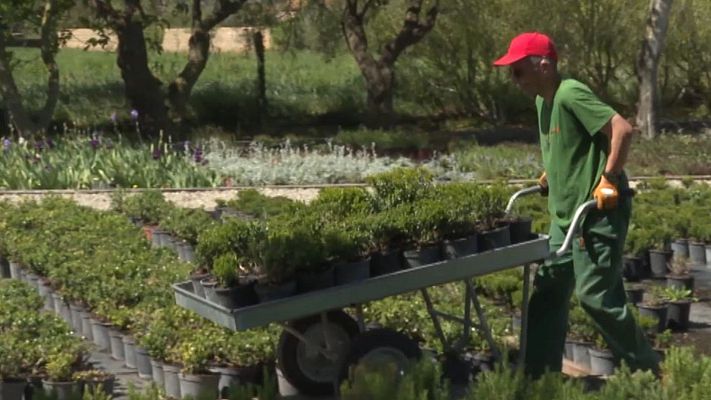 Historias inspiradoras - Tramuntana garden, donde florece la igualdad