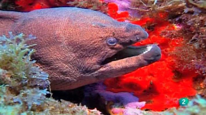 Agrosfera - Agrosfera - 09/03/13