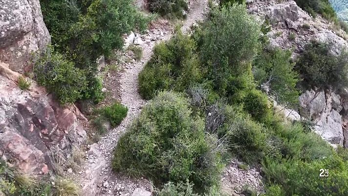L'Informatiu - La terapeuta, peça clau en les primeres declaracions del cas Andic