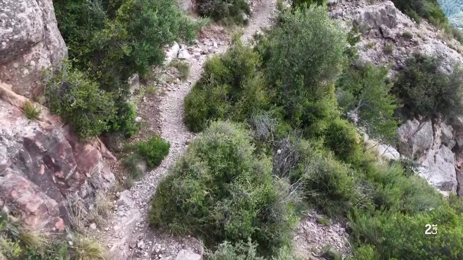 La terapeuta, peça clau en les primeres declaracions del cas Andic