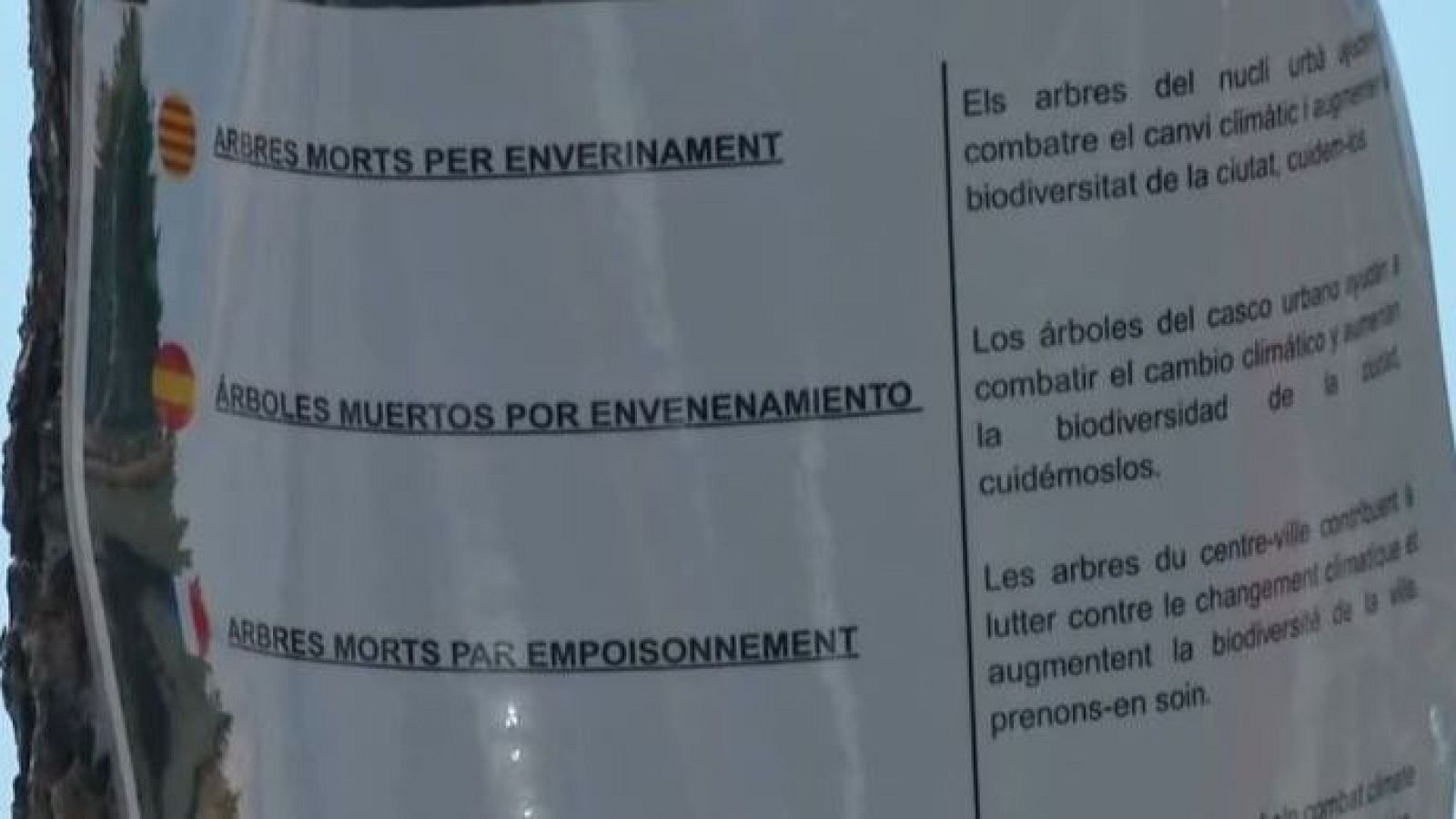 Cartel informativo en catalán, español y francés sobre árboles muertos por envenenamiento, destacando su rol contra el cambio climático y la biodiversidad urbana.