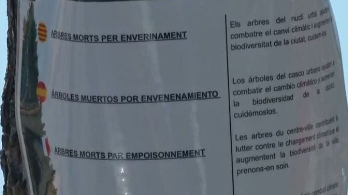 Directo al grano - Envenena árboles para poder ver el mar desde su balcón