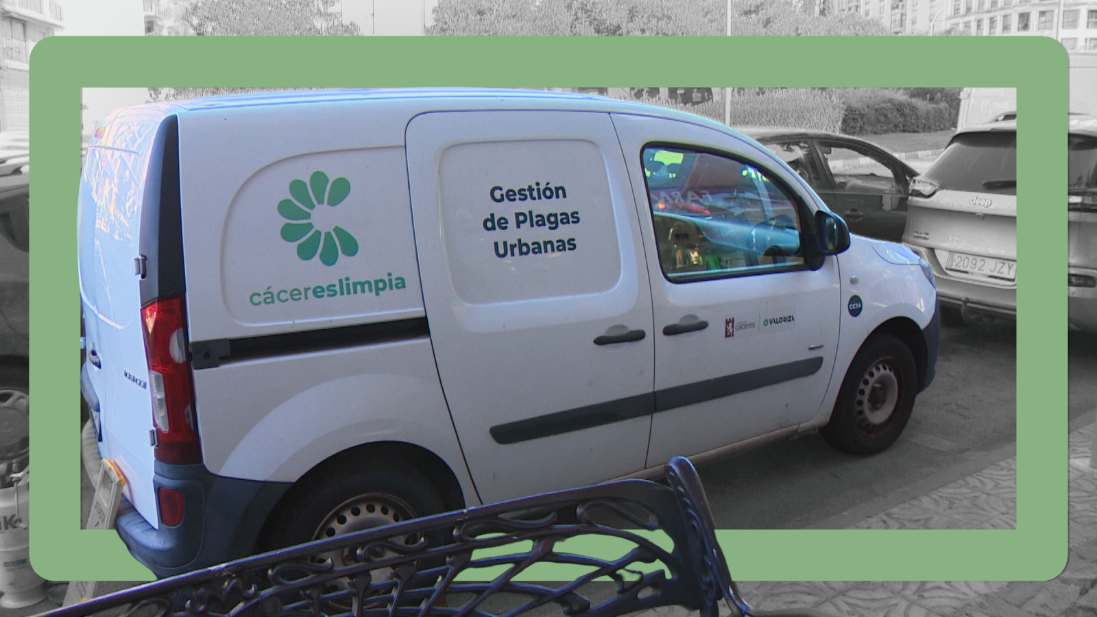 Trabajos contra plagas en Cáceres - Noticias de Extremadura | Ver