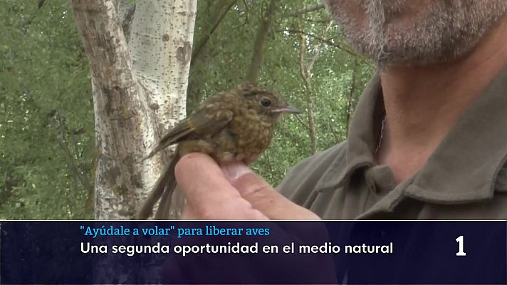 Informativo Telerioja - Informativo Telerioja - 01/06/26