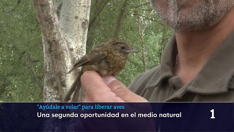 Informativo Telerioja - 01/06/26 | Ver