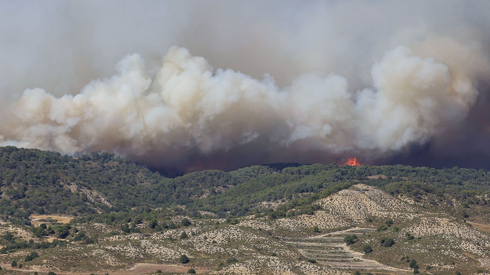 Los incendios de Leciñena y La Fueva continúan activos - Informativo 24h | Ver
