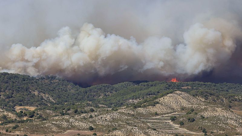 Los incendios de Leciñena y La Fueva continúan activos - Informativo 24h | Ver