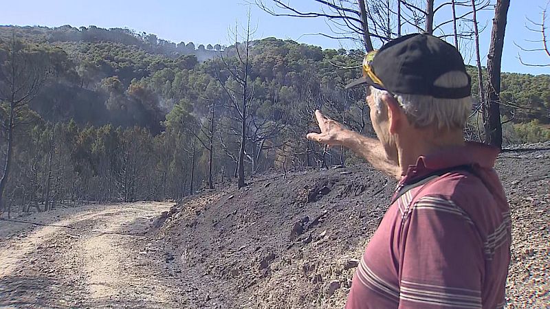 Aragón en 2' - Ver ahora