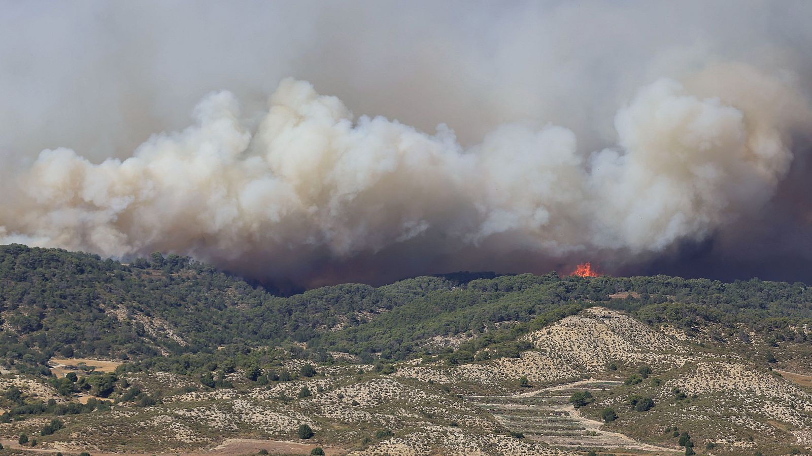 Los incendios de Leciñena y La Fueva continúan activos - Telediario 1 | Ver