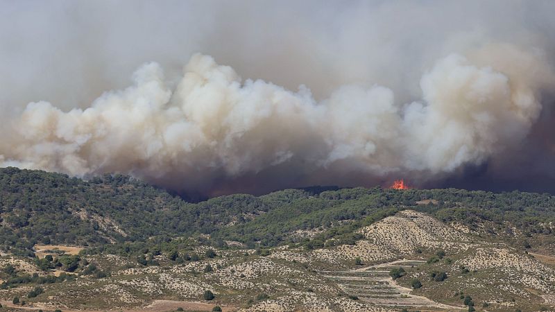 Los incendios de Leciñena y La Fueva continúan activos - Telediario 1 | Ver