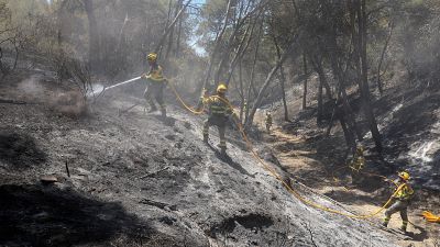 Los incendios de Leci�ena y La Fueva contin�an activos con m�s 3.000 hect�reas quemadas