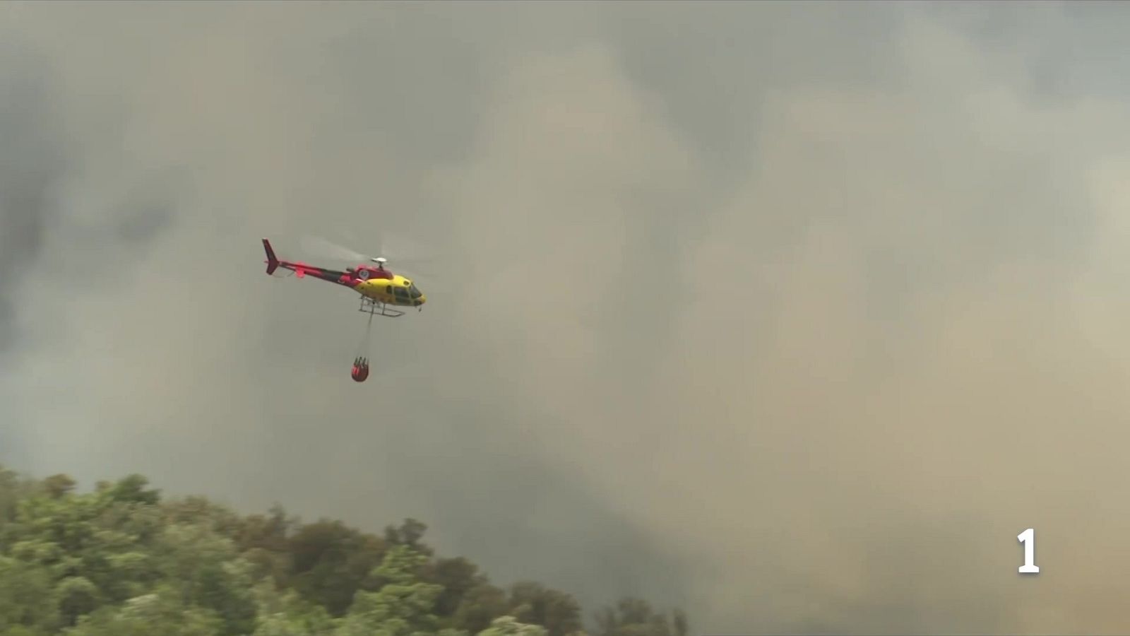 L'incendi de la Bisbal d'Empordà crema sense control - L'Informatiu | Veure