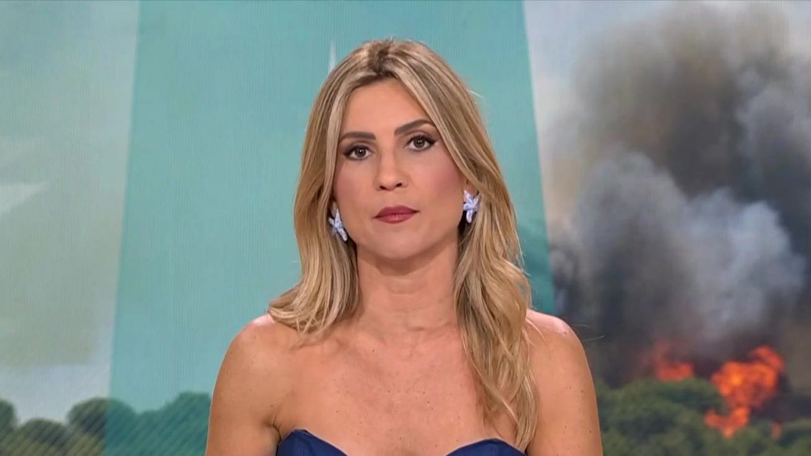 Incendi a La Bisbal, robatoris i música d'estiu - L'Altaveu - L'altaveu | Veure