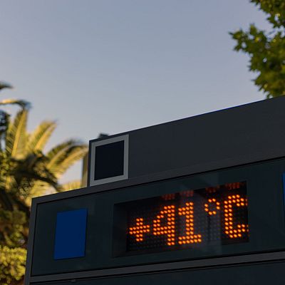 Noticias Aragón - Aragón cierra su peor junio en más de 10 años: 6.700 hectáreas arrasadas