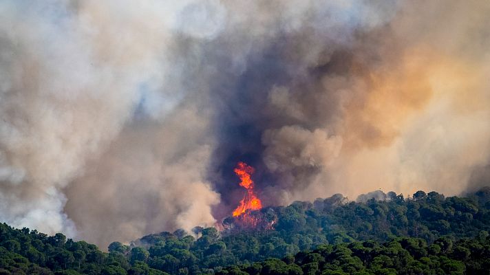 Informativo 24h - Un incendio en La Bisbal d'Empordà, Girona, avanza sin control tras afectar cerca de 1.300 hectáreas