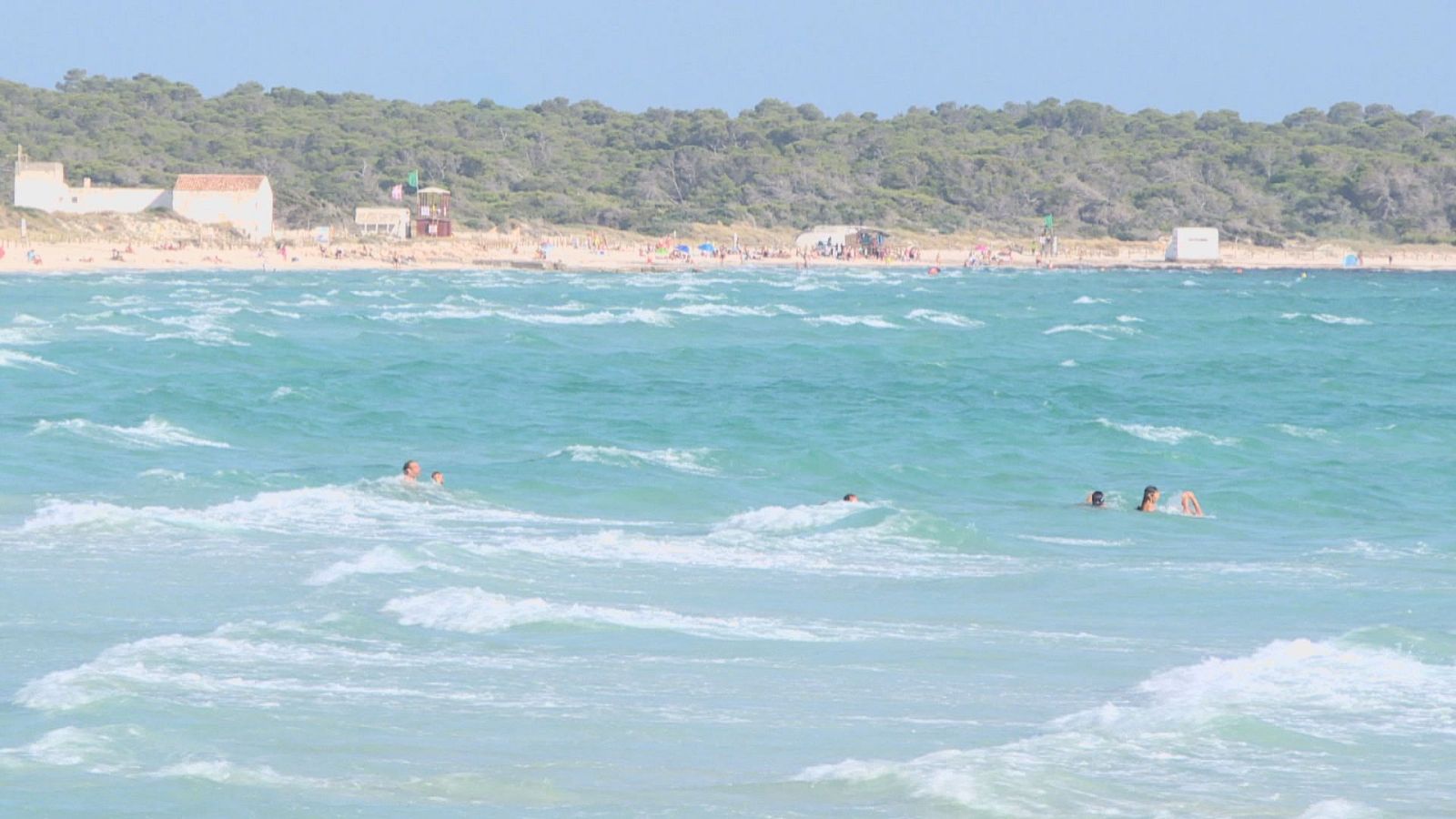 La protecció d'Es Trenc enfronta Govern i entitats ecologistes